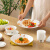 千代源大眼猫咪卡通碗日式餐具家用可爱陶瓷碗米饭碗大碗面碗沙拉碗汤碗 10英寸主餐圆盘