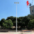 LED户外球场灯杆足球篮球场照明灯杆6米7米8米10米广场道路高杆灯 战狼款300w单头(不含杆)