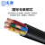 沈津 ZR-VV-0.6/1KV-3*50+2*25mm² 国标铜芯阻燃电力电缆 1米