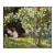 少屿Kroyer克罗耶白玫瑰花丛北欧客厅装饰画餐厅卧室挂画花园无框油画 白玫瑰 157058049242089102