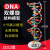 DNA双螺旋结构模型大号高中分子结构模型60cmJ33306脱氧核苷酸链 DNA双螺旋结构模型(小号)