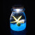 山头林村幸福海藻球水培植物微景观生态瓶球藻微生物瓶迷你绿植盆栽 海洋海星 带灯  1岁球 150ML