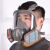 迈恻亦化学实验室防毒面具防尘喷漆甲醛化工打农消防油漆 面具全套4号+20片滤棉