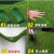德银 仿真草坪地毯人工假草皮人造塑料幼儿园户外足球场阳台铺绿色草垫 1.0cm特密款(耐磨柔软)
