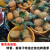 【2024现摘】香水菠萝当季应季新鲜水果广东湛江徐闻产 5斤小果 3-5颗装