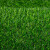 居拾忆 仿真草坪脚垫人工户外人工草坪塑料装饰绿植足球场幼儿园绿围挡假草皮垫 10mm军绿色50平方/卷