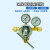 定制适用定制减压器YQEG-224管路式管道减压阀大流量表汇流排黄铜制造 铝盖0.25*4MPa
