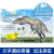 小笨熊 恐龙大百科（共12册）三叠纪+侏罗纪+白垩纪+肉食植食恐龙+敏捷奇特恐龙3-6岁 幼儿版彩图注音绘本