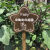 幼儿园菜园植物种植标示牌菜地农场草地爱护花草提示牌户外警示牌【12月12日发完】 B款红檀色空白板 均码