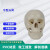 七格匠中型头骨 11.5*8.5*9CM 医学人体头骨模型骨