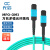 光信 MPO-MPO光纤跳线母头B极性兼容MTP万兆多模OM3光纤跳线40G/100G光模块集束光纤线 12芯-OM3-30米