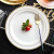 宝驰一次性餐盘套装 生日蛋糕西餐牛排菜盘碟子水果盘 仿瓷塑料餐具 19cm透明满天星 20个