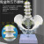 五节腰椎带骨盆模型  腰椎 自然大男性盆骨带五节腰椎脊椎模型 男性骨盆带五节腰椎