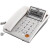 TCL 电话机 37型 座机办公 固定电话机 商务座机 免电池 国威白色