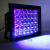 加达斯led紫外线UV模型3D打印树脂固化灯蓝晒曝光荧光紫绘画365nm405nm 20W395nm(蓝晒专用) 100-300W