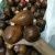 印尼蛇皮果2斤新鲜稀水果有罕见特别稀奇古怪热带水果