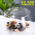 JPHZNB金鱼缸玻璃圆形办公桌客厅水培家用小鱼缸透明小型迷你造景乌龟缸 小龟缸+梦幻石6件套5颗