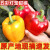 农大姐妹彩椒 灯笼甜椒 新鲜蔬菜五彩椒 寿光蔬菜水果椒 可生吃 沙拉蔬菜 5斤