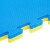 赫思迪格 跆拳道地垫 加厚泡沫地垫隔音减震体能训练保护垫 黄蓝-T型纹4cm厚 1*1米 HGJ-1824
