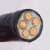 吉星 聚乙烯交联绝缘电力电缆 YJV22-0.6/1kV-5*10 黑色 1m