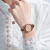 聚利时（Julius）手表女经典韩版复古时尚潮流学生皮带石英女士手表棕色JA-750C