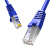 神盾卫士（SDWS）超六类网线CAT6万兆双屏蔽双绞连接线工程成品网络跳线3米SC6-3DP
