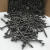 不锈钢螺丝/陶瓷瓦专用螺a丝/瓷瓦螺丝自攻螺丝钉麻花钢钉 黑色3.5*20二公斤约1800个