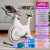 动感单车智能家用款小型运动磁控健身车自行车室内器 R5磁控-智能APP-心率-仪表-音乐