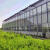 智耀智能玻璃温室 连栋温室 科技观光园种植阳光板温室大棚骨架
