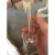 孔柔刻度无硼石英容量瓶耐高温型高度化学实验玻璃仪器52000ML 50ML
