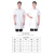 鑫工派 白大褂 短袖药店实验室工装男女同款优质棉短袖XL（170-175）