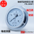 上海天川仪表耐震轴向带边YN100ZT油压液压表防震 压力0-0.1MPA