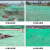 成宇安全网密目网防尘盖土网防护网环保专用网抑尘网3针4针6针新工艺加密