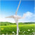 天颛小型风力发电机家用220v厂家直销220V100W300W500W风光互补路灯12 300W24V3叶片+控制器