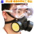 蓝鹰防毒面具口罩活性炭面罩喷漆化工面具放毒气甲醛NP306防毒半面罩 NP306面具+RC203滤盒2个+NP102眼罩