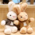 可爱小兔子公仔抱枕玩偶安抚玩具布娃娃兔年吉祥物LL9 米色毛衣（米兔） 50cm