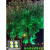 led七彩变色投光灯园林绿化别墅草坪景观灯rgb彩色照树户外射灯  布洛克 七彩RGB变光300W(六孔)