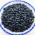 黑豆中药材 醋泡黑豆 肾形黑豆黄心 当季新货乌黑豆 赤小豆 薏米 黑豆（黄芯） 5斤