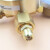化科 实验室黄铜中大型减压器 手动减压阀 调节器  452IN-300（25/4），氲气氮气