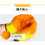 登升P628一把手涂浸挂胶PVC耐磨耐酸碱耐油劳保劳动胶皮工作手套 P628黄色橙胶6双体验装 M