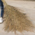 鲁坤 DS-200  加厚大扫把 竹扫把大号扫帚笤帚加厚2米长环卫扫把工厂物业清洁带叶竹枝