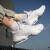 耐克（NIKE）男鞋春季新款Air max气垫运动鞋缓震透气跑步鞋CK9408 CK9408-100 白色/尺码偏小 40.5