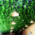 谋福（CNMF）仿真葡萄叶花藤条 吊顶装饰缠绕绿植塑料葡萄花藤蔓(90片葡萄叶5条装)