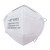 一护 KN95/KP95头戴式口罩 防尘防雾霾PM2.5防飞沫 可过滤油性颗粒物 30支/盒 6003