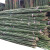牵跃 竹竿 爬藤竹杆架篱笆栅栏彩旗杆细竹子菜园搭架	2cm直径 长度2米（50根）