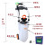沸耐笙 FNS-20604 工业用便携式移动式简易紧急喷淋洗眼器 12升白色 1台