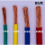 适用国标单芯多股软铜芯电线BVR 50 70 95 120 150平方工程软电线 BVR50平方黄色(1米)