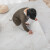 唔哩地直接铺地板革PVC塑胶自粘地板贴纸加厚耐磨水家用地胶垫 SG621  60*60cm  1片