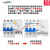 适用于广东珠江电线电缆电器保护开关插座DZ47LE2P32 63A二极漏电断路器约巢 63A 2P