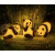 太阳能熊猫灯动物灯园林亮化灯灯饰灯具发光灯景观灯 熊猫E款